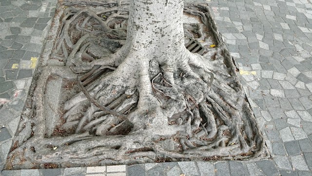 Aqualuna Tsim Sha Tsui Pier 1