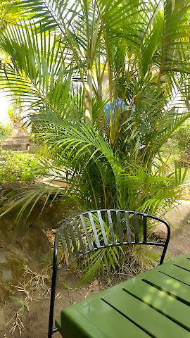 Hostaria Restaurant by null