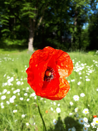 Flöha Park - Visual