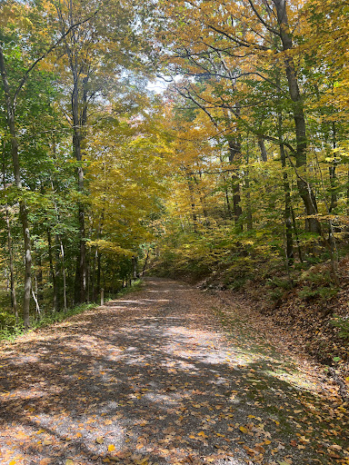 Stackhouse Park - Visual