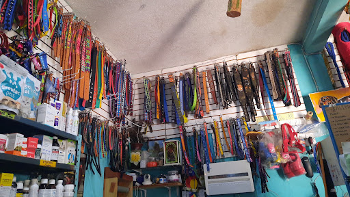 Centro Veterinario Ixtepec - Thumbnail