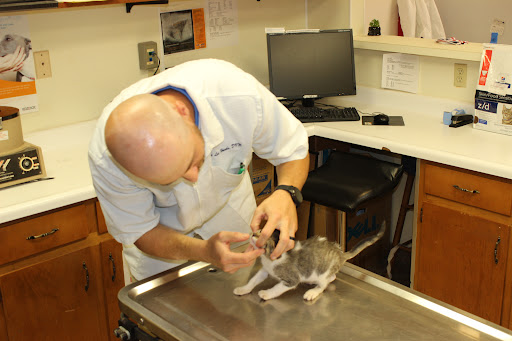 Munford Animal Hospital LLC Gallery - United States