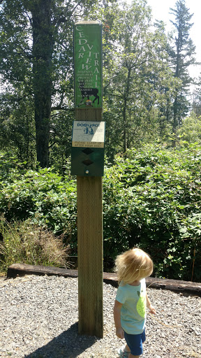 Campen Creek Park - Thumbnail