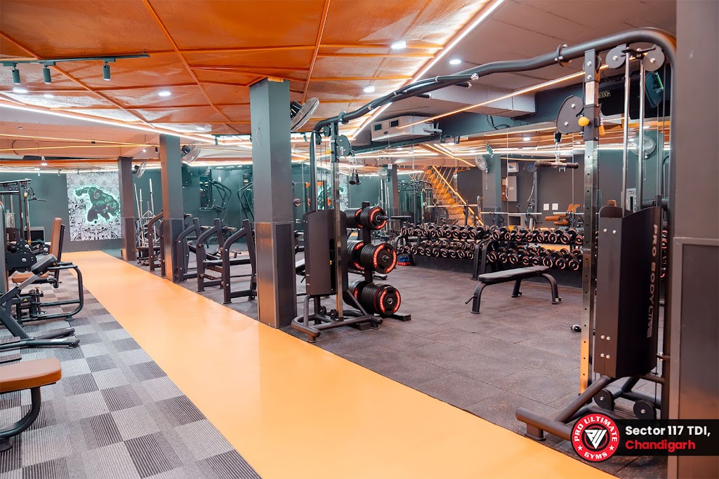 Pro Ultimate Gyms Sector 117 Tdi Mohali