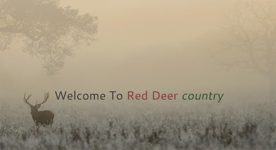 Red Deer Country Estate Agents