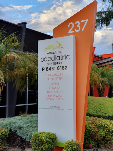 Adelaide Paediatric Dentistry - Thumbnail
