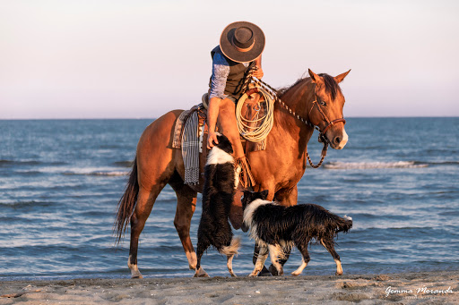Ranch del Mare - Visual