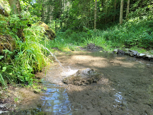 Grauentalquelle und Brücklebrunnen