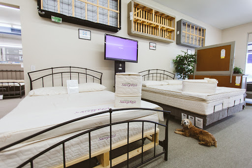 STL Beds - Visual