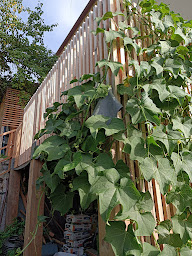 Photo n°73 de Chambres d'Hôtes - Couvent d'Alando à Alando (Maison d'hôtes)