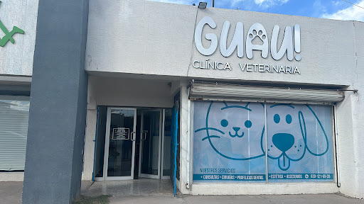 Guau Clínica Veterinaria