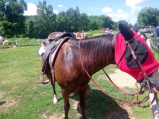 Frontier Stables - Visual