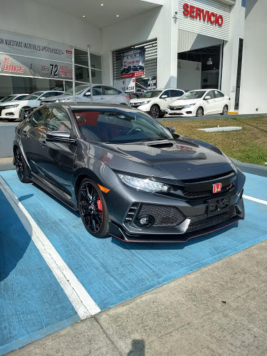 GWM - Visual