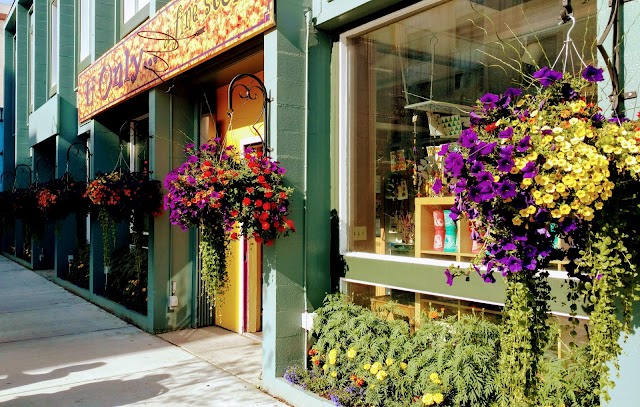 If Only...a fine store