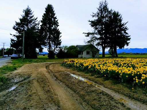 Skagit Co Fire District - Thumbnail
