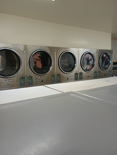Earl's Guarantee Laundromat - Thumbnail