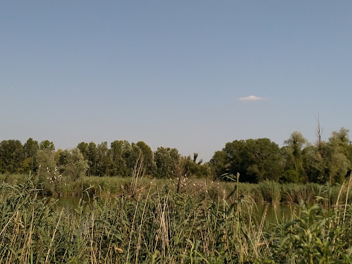 Oasi Di Noale (Ingresso) - Thumbnail
