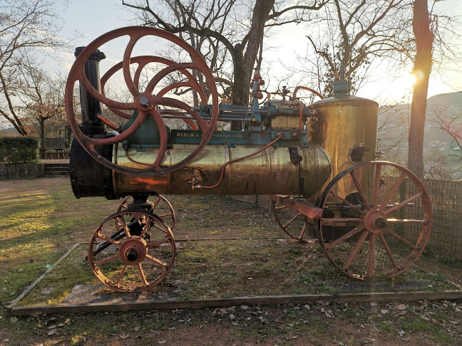 Opinii despre Musée de l'automobile Henri Malartre în Fontaine - Musée
