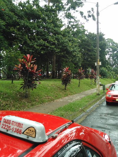 Photos of El Bosque Park