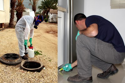 Photos of Roy Pesticides