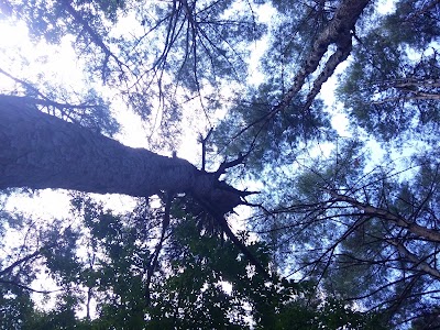 Photos of 미숭산