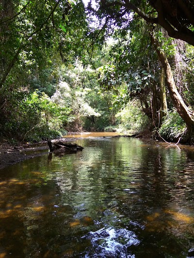 Photos of Peradayan Forest Reserve