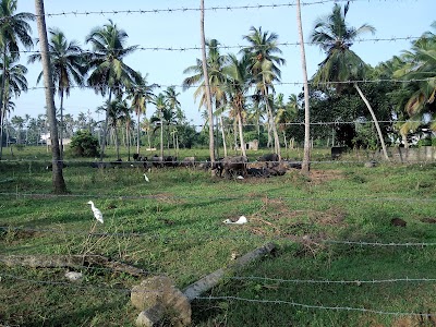 park