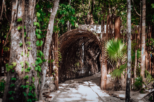 Lunita Jungle Retreat