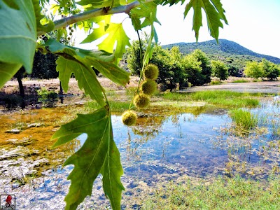 Boyalı