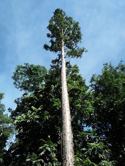 Photos of Taman Wisata Alam Sorong