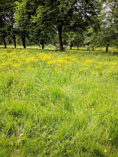 Park Selwerd - Visual