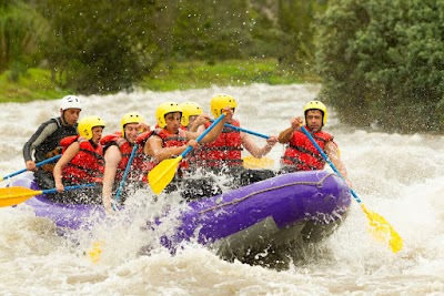 Photos of Happy Gringo Travel