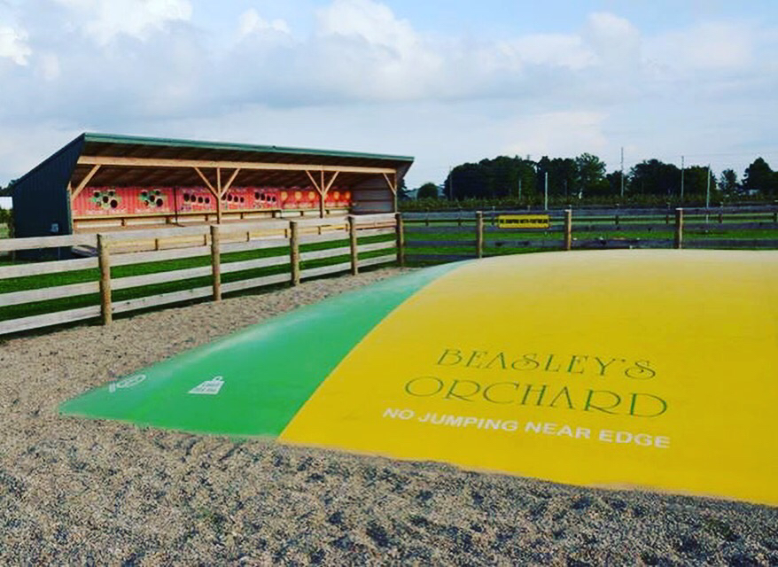 Beasley's Orchard