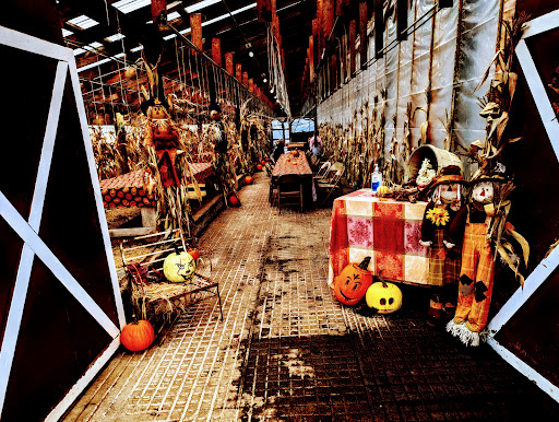 Vancouver Pumpkin Patch - Visual