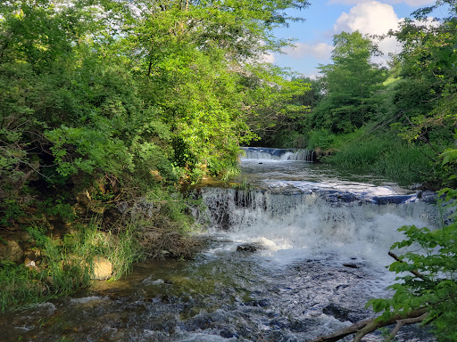Briggs Woods Park - Thumbnail
