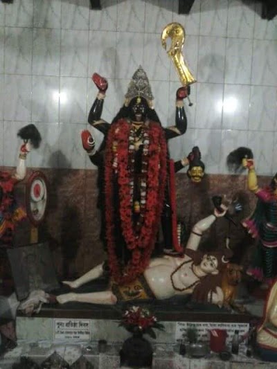 Photos of Mansa Kali Temple