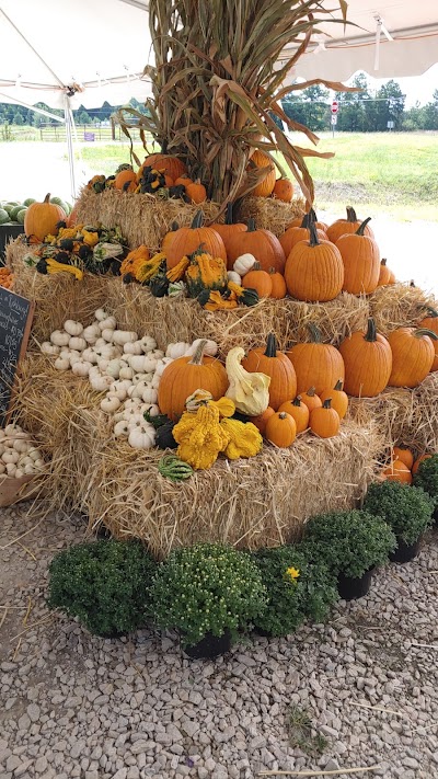 Cotton Hills Farm Richburg Market