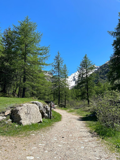 Rifugio Tetras Lyre - Campo Base Gran Paradiso - Thumbnail
