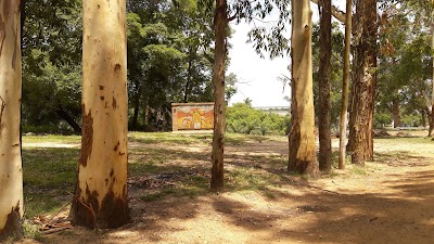 Photos of Camping Municipal Empedrado