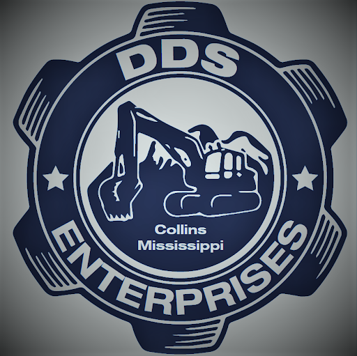DDS Enterprises - Visual