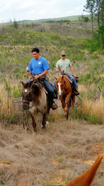 Soul of Dixie Horse Trails