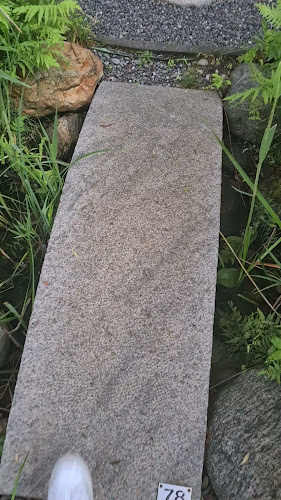 Traumgarten Thalwil Öffnungszeiten