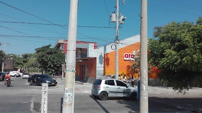 Photos of Ara stores Zoologico