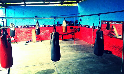GYM DE BOX PUÑO DE ORÓ - Thumbnail
