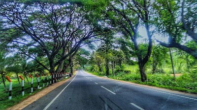 Photos of Ella Vaadiya