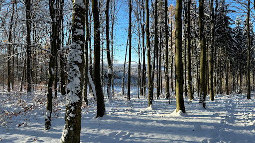 RuheForst® Olbernhau/Erzgebirge - Thumbnail
