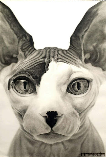 Artestudio - Visual