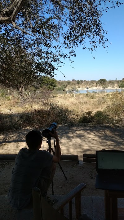 Photos of Kgori Safaris