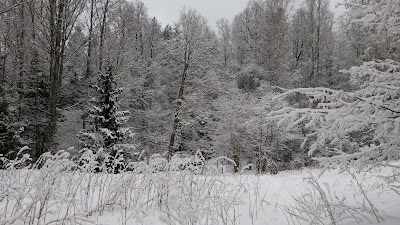 Photos of Uuej&auml;rve matkarada