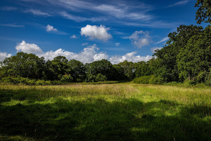 The Meadow - Wedding Venues in 